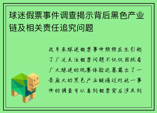 球迷假票事件调查揭示背后黑色产业链及相关责任追究问题